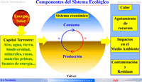 Componentes de un Sistema Ecológico